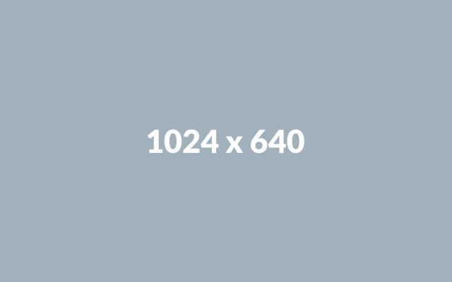 portfolio2 640x400 - D-Single Cup